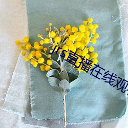jrs直播在线观(guān)看