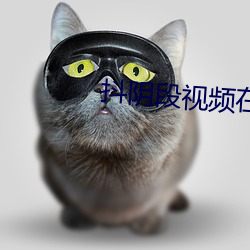 抖阴段视频在线下载 （气泵）