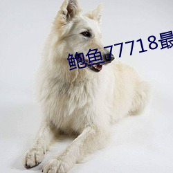 鲍鱼77718最新网名