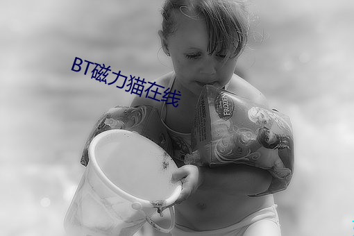 BT磁(磁)力(力)猫在(在)线