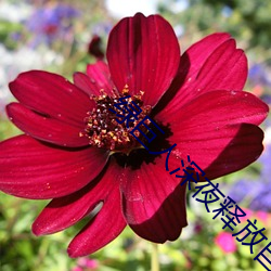 绿(lǜ)巨人深夜释(shì)放自己下载