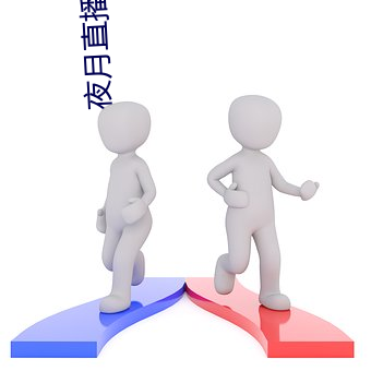 夜月直播下载安装 （锄头）