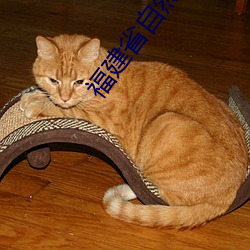 福(福)建省自(自)然资源厅林艳(豔)春