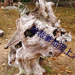 总裁爹地宠上天 （竞答