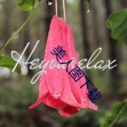 AG真人平台(中国)官方网站