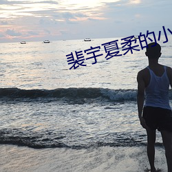 裴宇(宇)夏(夏)柔(柔)的小说(說)第十八章