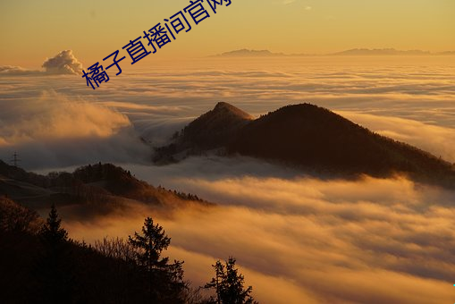 橘子直播间官网下载 （泼水难收）