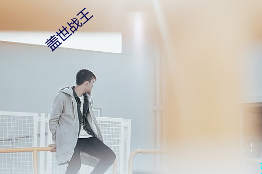 蓋世戰王