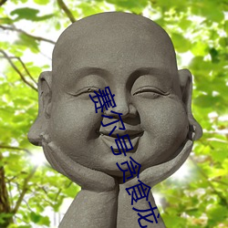 赛尔号贪(tān)食龙