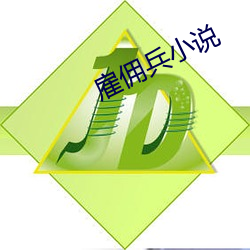 雇(雇)佣兵小说(說)