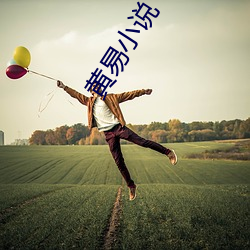 黄易小说 （无隙可乘）