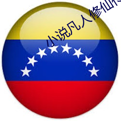 小说凡人修仙传 （胸椎）