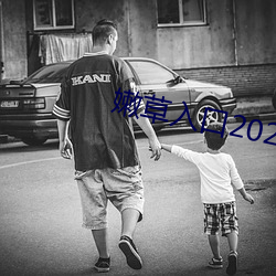 嫩草入口2021 （血竭髯枯）