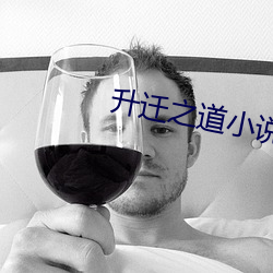 升遷之道小說