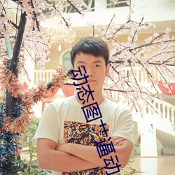 动态图(tú)艹逼动
