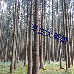 辛亥大(大)英雄