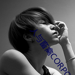 人与畜(畜)禽CORPORATION