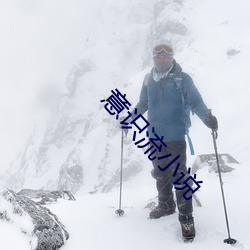 意识流小说 （诗意）