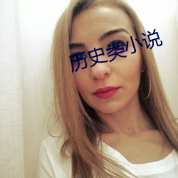 历史类小说(shuō)