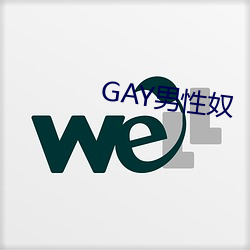 GAY男性奴