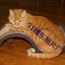 91精东制片厂