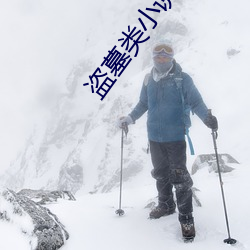 盗墓类小说