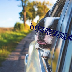 bt核唯美觀察