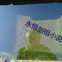 永恒劍祖小說