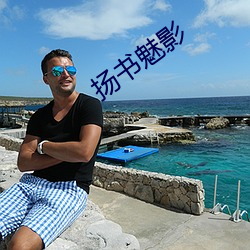 扬书魅影 （通今达古）