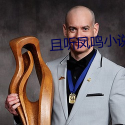 且听(tīng)凤鸣小说