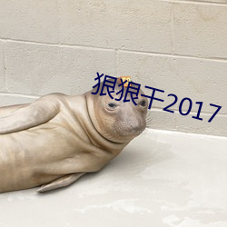 狠狠幹2017