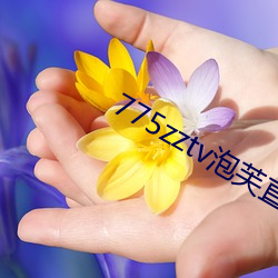 金年会(中国)官方网站