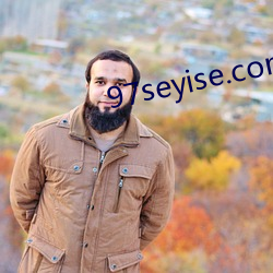 97seyise.com