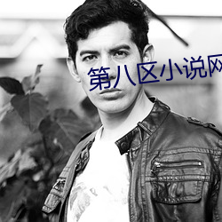 第八區小說網