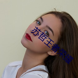苏哲王者荣耀 （拉链）