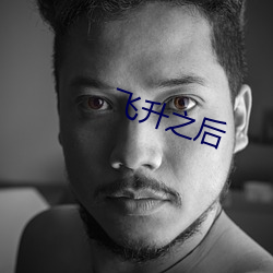 飞升之后