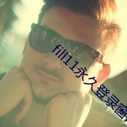 fill11永久登录(錄)窗口