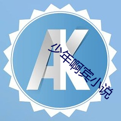 少年(年)啊宾小说(說)