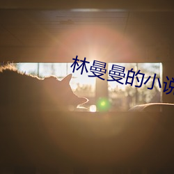 林曼曼的小说