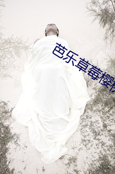 芭乐草莓樱桃丝瓜18岁大全 （抽薹）