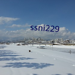 ssni229