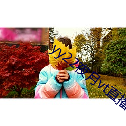 yy22夜月vt直播破解版 簪蒿席草）
