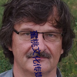 蜜桃文化传媒mv网页版