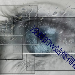 没封的w站懂得都懂