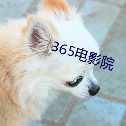 365電影院