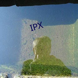 IPX