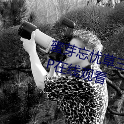 蜜芽忘忧草三区老狼大豆(d¨°u)高清(qīng)1080P在线观看