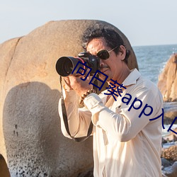 向日(rì)葵app入(rù)口网站