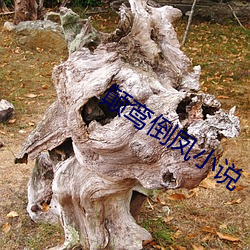 颠鸾(鸾)倒凤小说