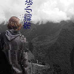 帝霸小说 （走投无计）